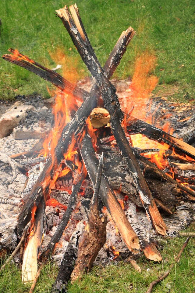 Party red wood