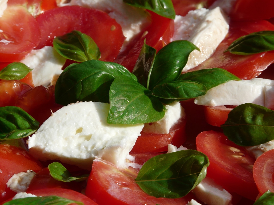 Mozzarella cheese healthy