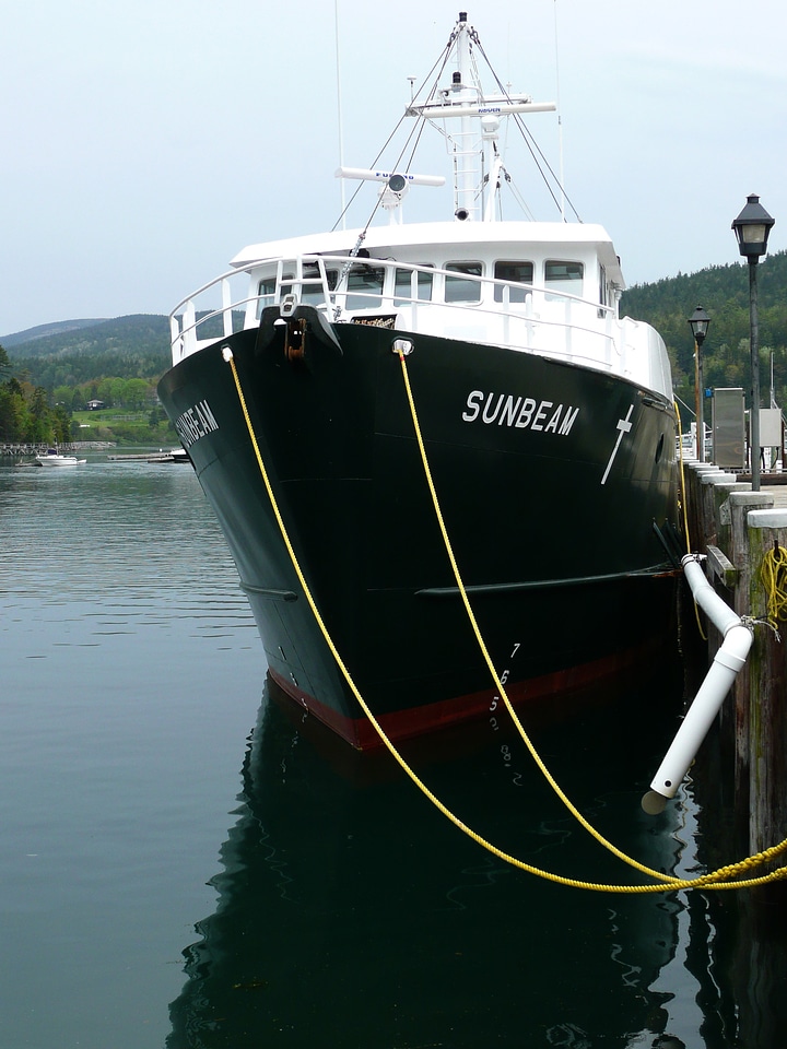 Fishing harbour coast