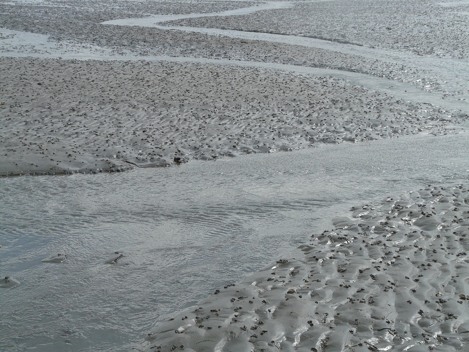 Wadden sea ford schlick