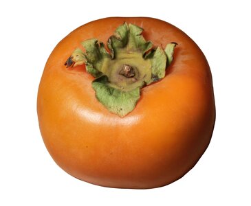 Fuyu kaki persimmon
