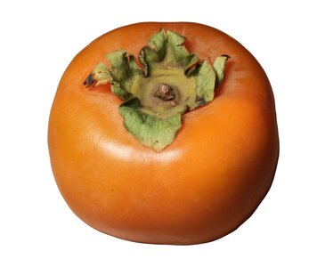 Fuyu kaki persimmon photo