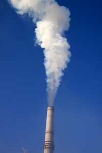 Plant power smoke