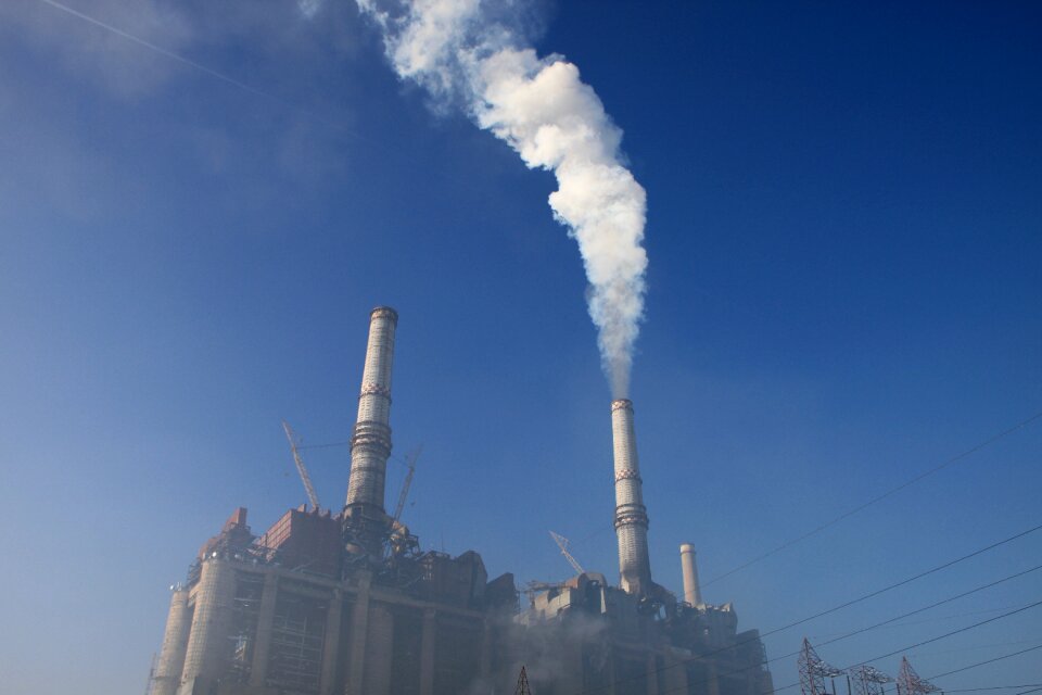 Plant power smoke