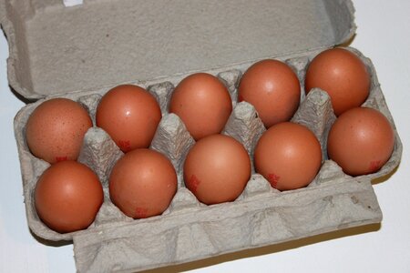 Hens paper white