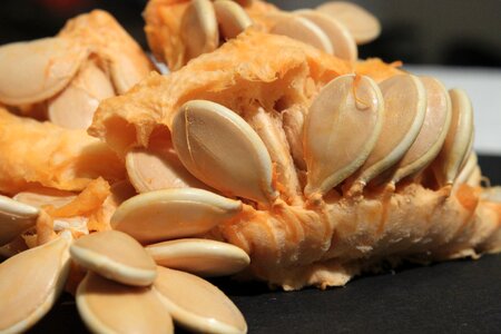 Healthy protein pumpkin