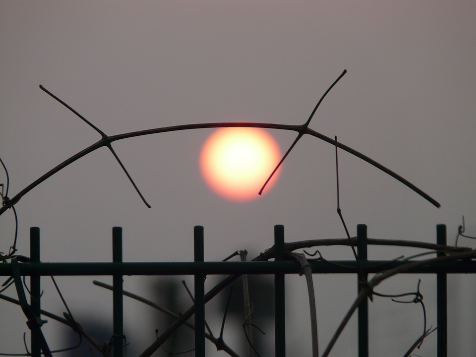 Mood end of the world fence
