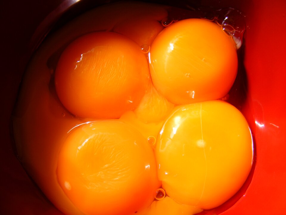 Inside oocyte yellow