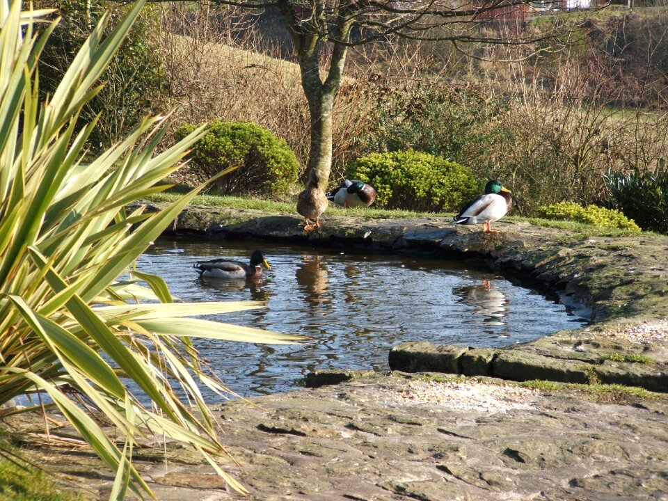 Outdoors scenery wildlife