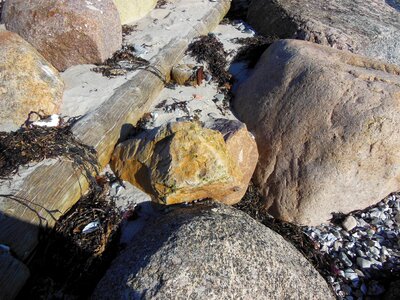 Flint brown flint wood pole