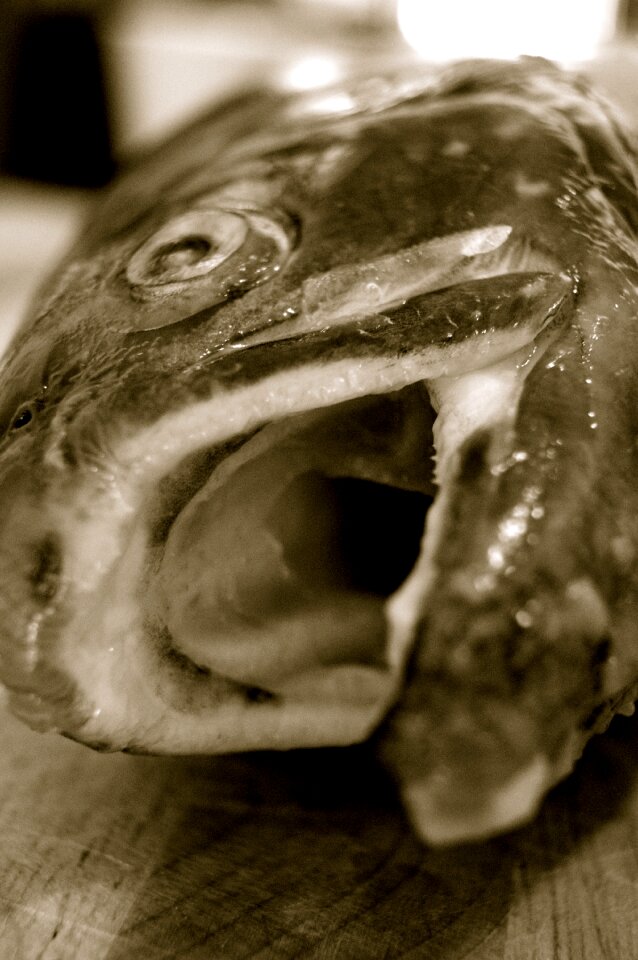 Foot death fished
