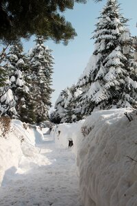 Alley snowy alleys photo