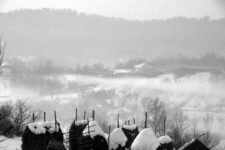 Nature winter white