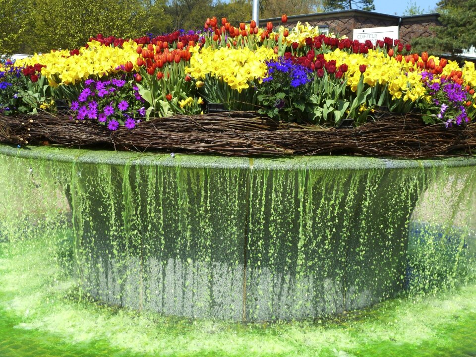 Fountain flowers water
