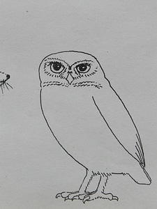 Coloring pages paint draw