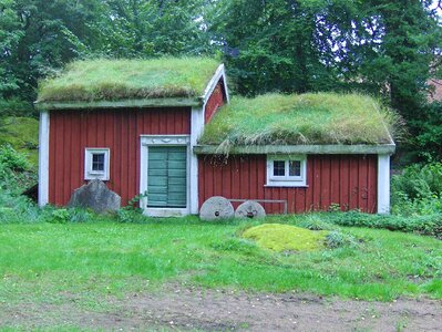 Building thatched roof grass photo