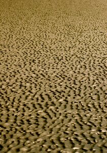 North sea sand wave photo