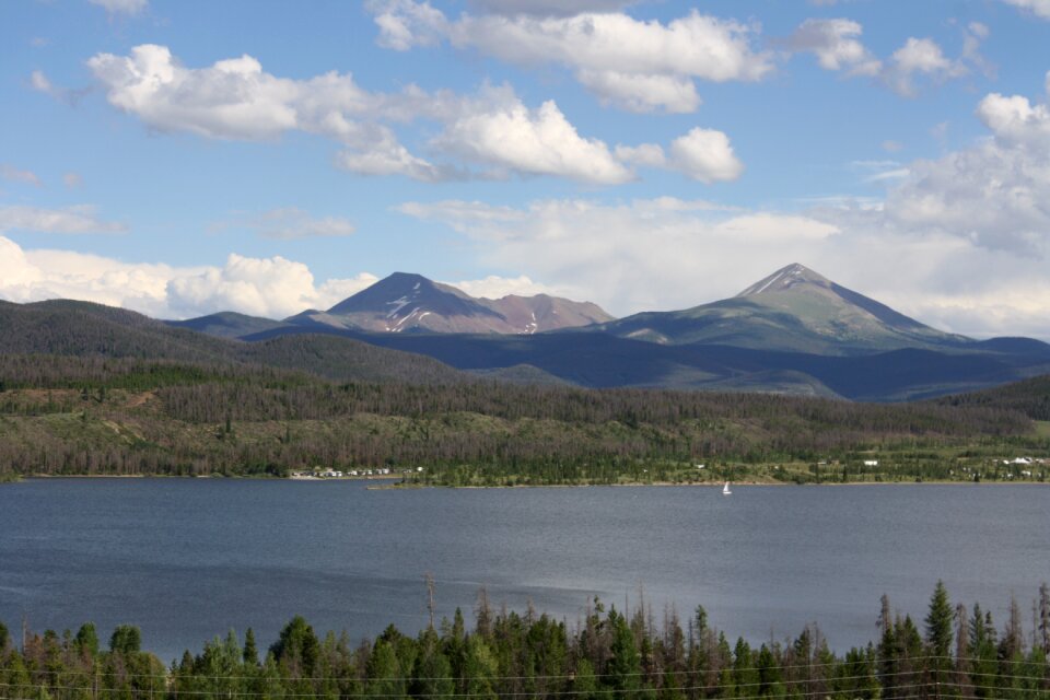 Colorado trees forest