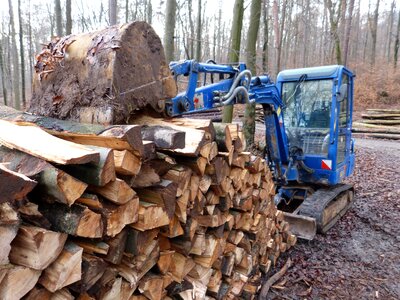 Tree cases forest work vehicle
