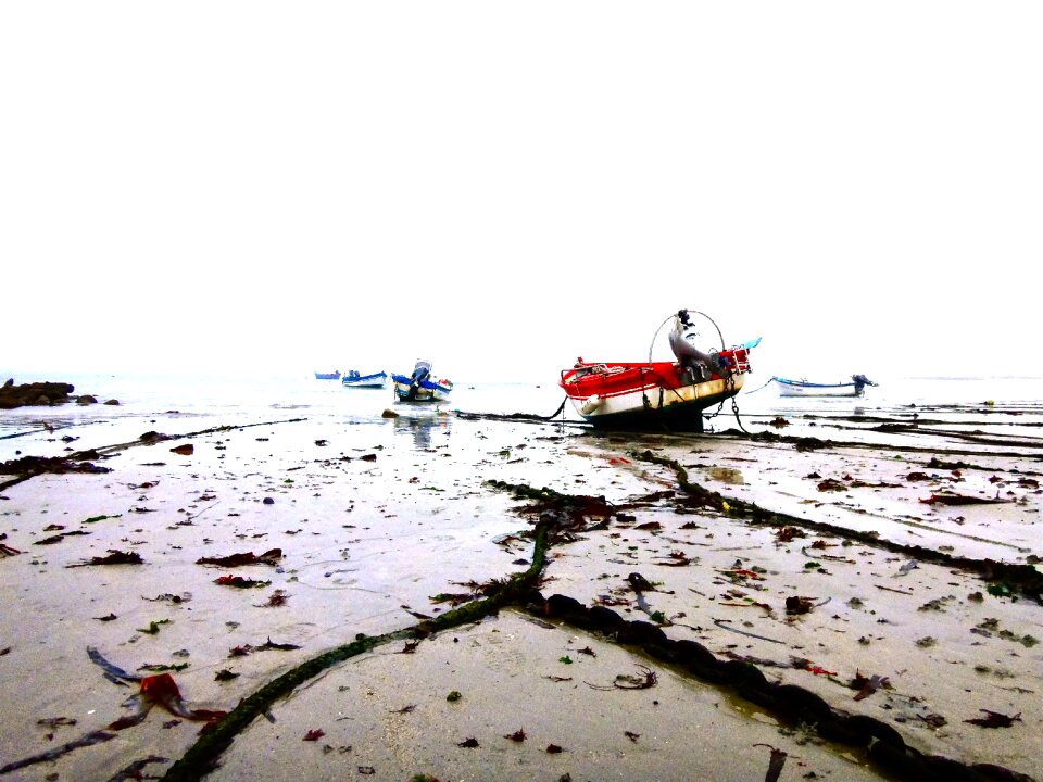 Fishing boat perspective