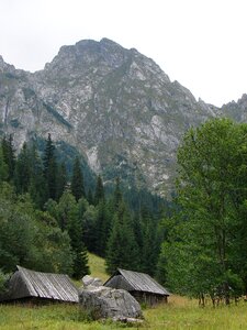 Nature tatra poland photo