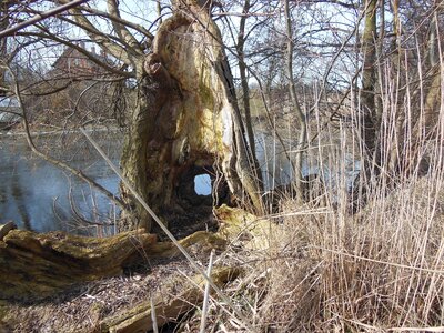Hollow moat water