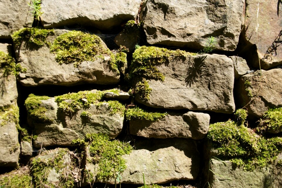 Background cairn pebble