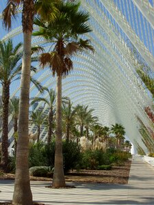 Structure canopy steel