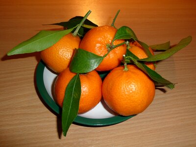 Sweet healthy citrus fruits
