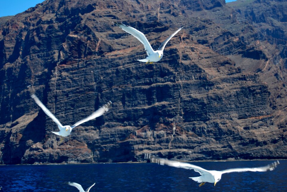 Gigantes tenerife island