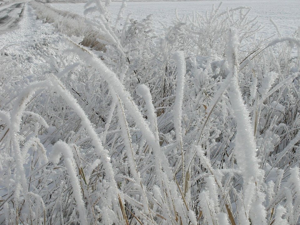 Freezing fog ice cold