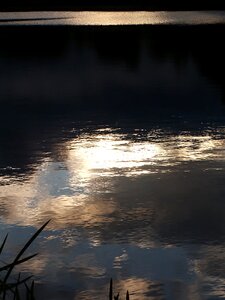 Ledenice ponds spas reflection