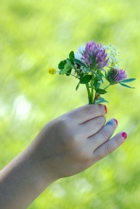 Leaf holding gift