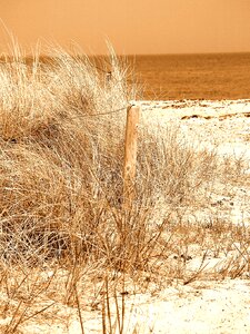 Beach sand north sea