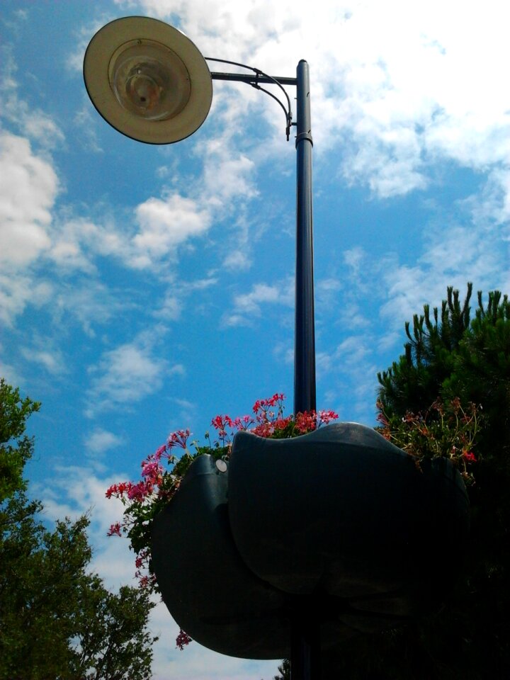 Lamp ganesh flower
