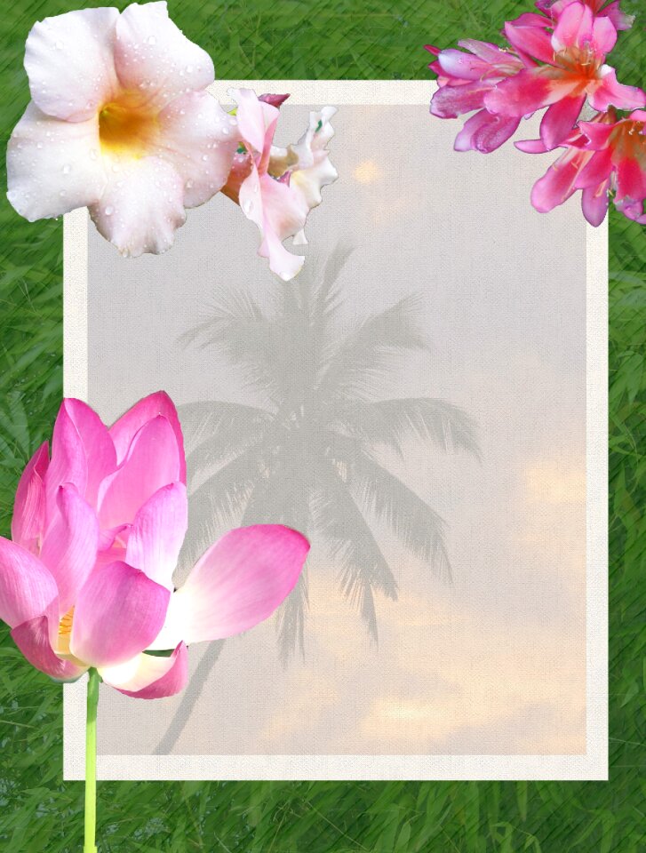 Beach palm trees scenic