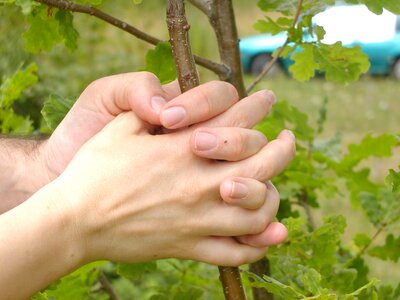 Hands tree finger