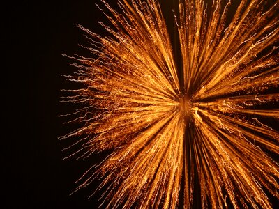 Pyrotechnics fireworks explosion