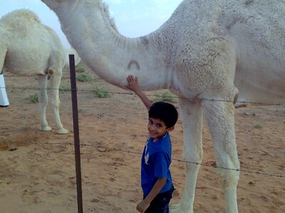 Saudi arabia camel boy photo