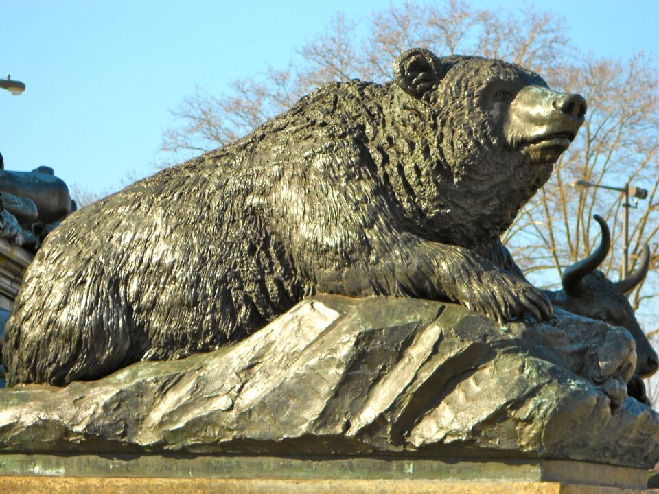 Bear close-up art