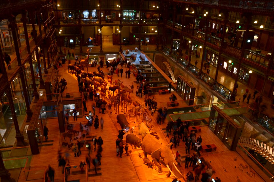 Inside interior exhibits