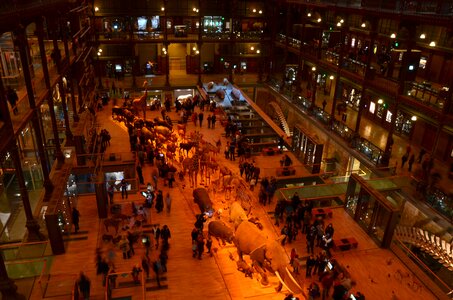 Inside interior exhibits photo