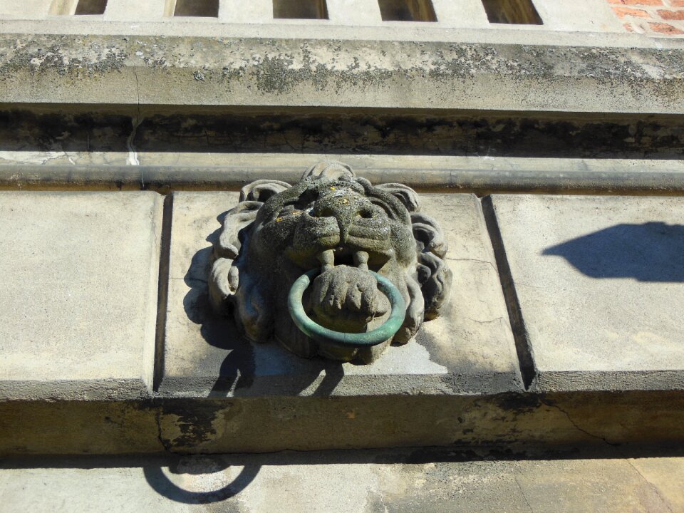 Ornament lion's head ring in mouth