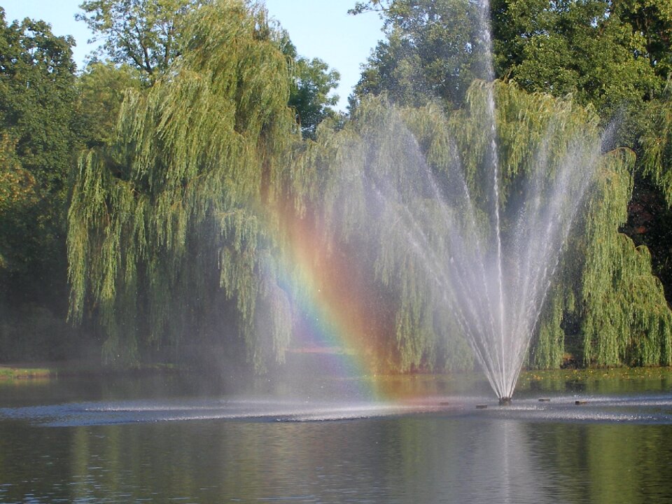 Water pond nature