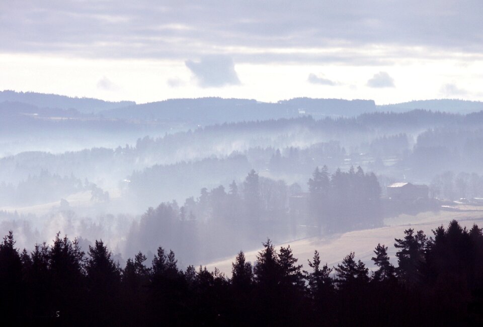 Wood mountains trees