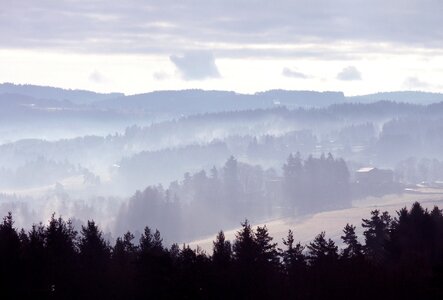 Wood mountains trees photo