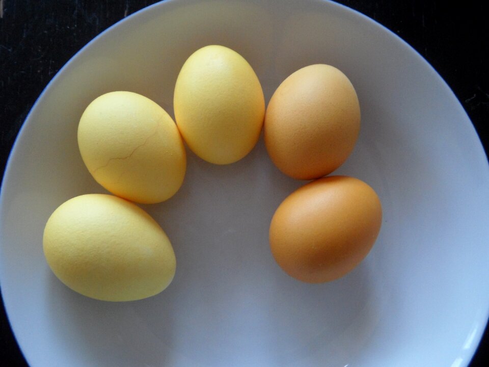 Yellow easter color bath