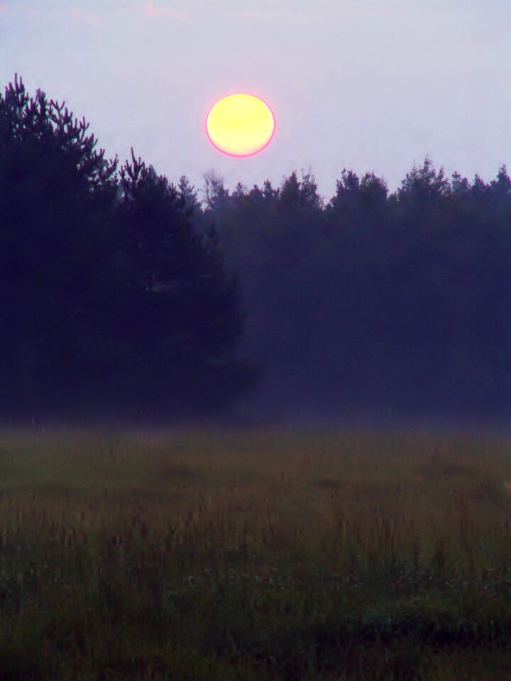 The rising sun fog nature