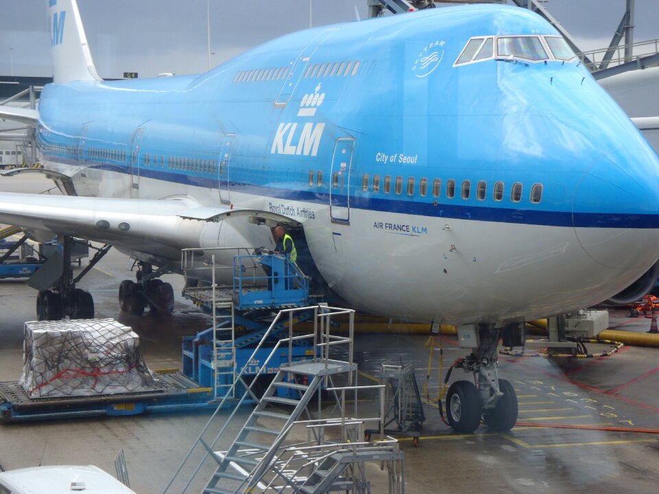The plane airport jumbo jet