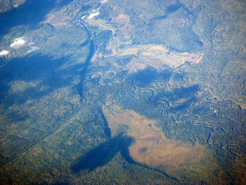 River nature bird view